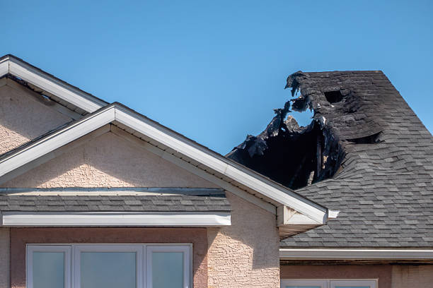 Top rated local Smoke Odor Removal specialists in Carver, MN
